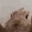 bunVIBE