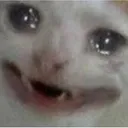cat_tragic