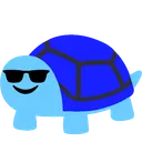 turtlecool turtlecool