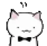 nodcat