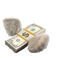 v_money1