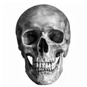 realisticskull