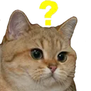 watcat