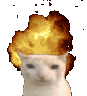 jihadcat Discord Emoji