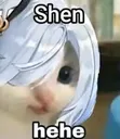 ShenHeHe
