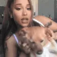 ariana_dog