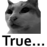 TrueKitty