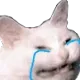 Cattocry cattocry Discord Emoji