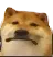 g8dog_unhappy