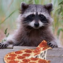pizzaraccoon Discord emoji