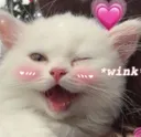 Catastrophe_Wink