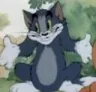 tomidk