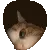 Catpeek