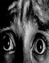 SchizoFear