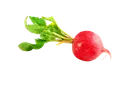 radish