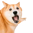 Soyjack_Doge