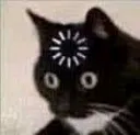 EGH_APEX_catLoading