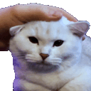 :PETTHEPEACH: