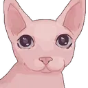 bingus