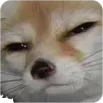 starefox