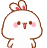WhiteBunnyNod3
