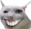 pe