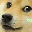 ML_awk_doge