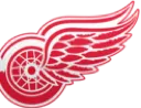 Redwings Discord Emoji