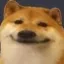 yaax_dog