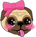 puggocutie
