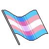 trans_flag