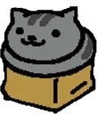catbox catbox