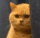 concerned
