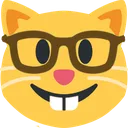nerd_cat nerd_cat