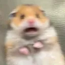 Scared Hamster Discord Emoji
