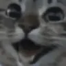 happycta