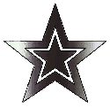 snowteam_star Discord emoji