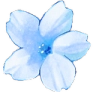 blue_flower Discord emoji