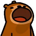 bopbap