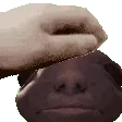 albipat
