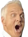 HowardPog