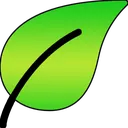 Leaf