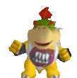 bowserjrPls