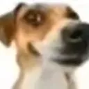 wenamechaendasumma wenamechaendasumma