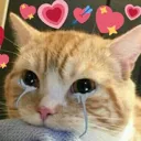 br_kittylove Discord Emoji