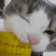 ncateat