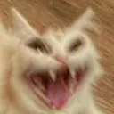 SCREEECH