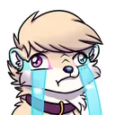 CRY9797 Discord Emoji