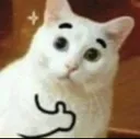thumbsupkitty