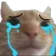 Cat Cri Discord Emoji